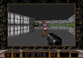 Duke Nukem 3D (GS).png (10347 bytes)