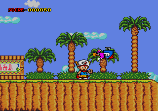 Magical Flying Hat Turbo Adventure (GS).png (5786 bytes)