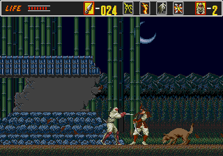 Revenge of Shinobi (GS).png (8820 bytes)